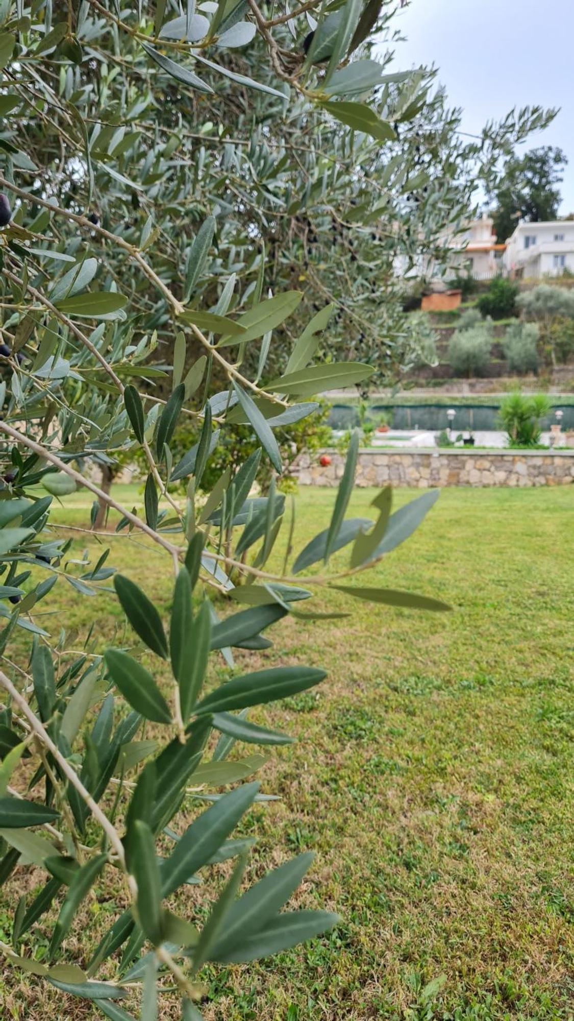 La Hacienda Hotell Ulcinj Exteriör bild